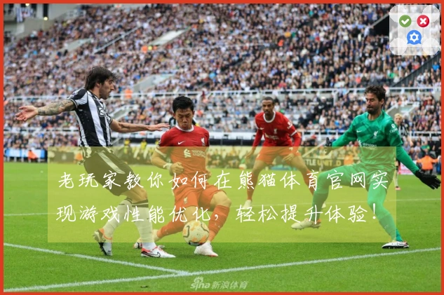 老玩家教你如何在熊猫体育官网实现游戏性能优化，轻松提升体验！